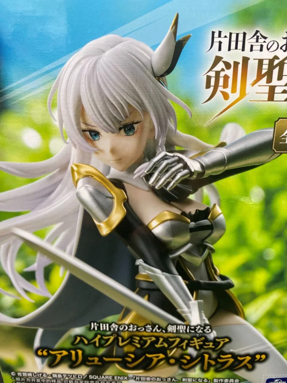 From Old Country Bumpkin to Master Swordsman Allucia Citrus Figure Sega New